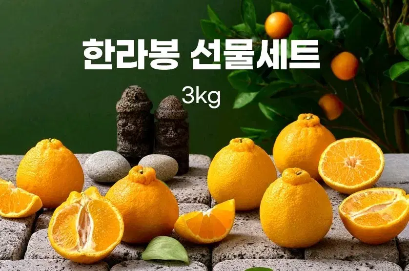 강력추천)한라봉 선물세트 3KG